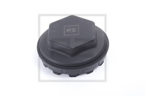 PE Automotive 016.189-00A Cap, wheel bearing